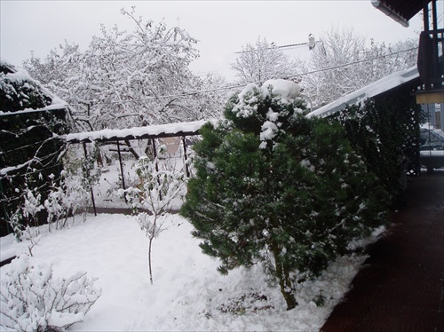 prvý sneh - 5.november 2006  III.
