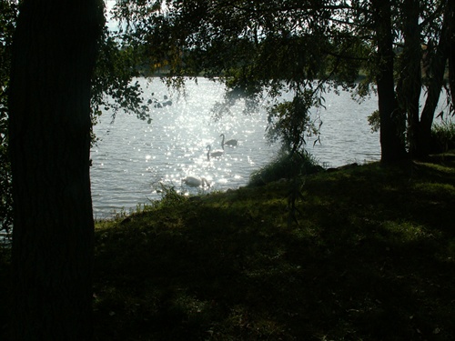 labutie jazero