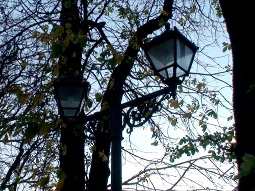 O lampe v parku..