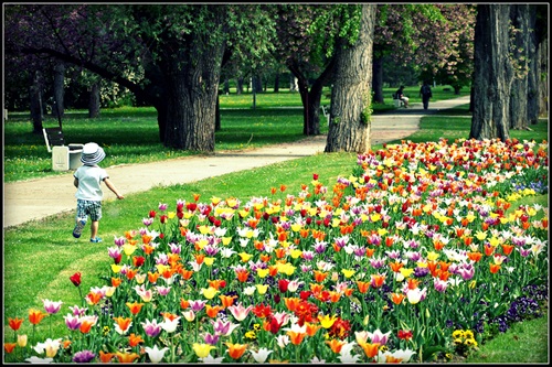 Jar v Piešťanskom parku