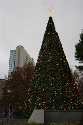 Vianocny strom v Atlante