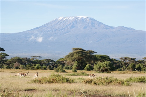 Safari po Kilimandžárom