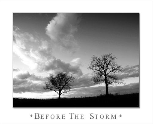 * BEFORE THE STORM *