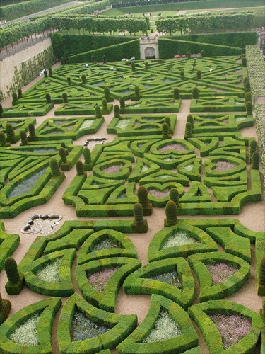 Villandry - zeleň