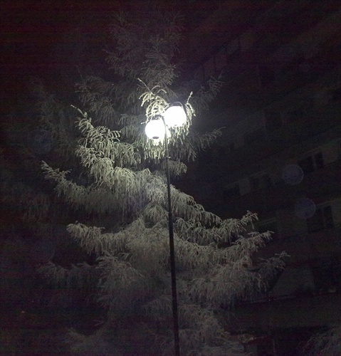 studená noc
