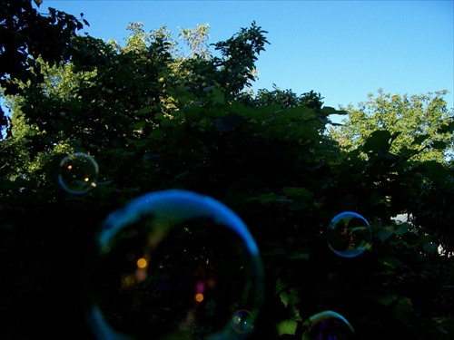 bubliny
