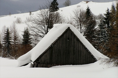 Zima v Oravskej Lesnej
