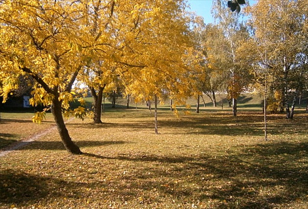 október v parku