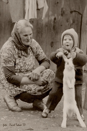 Babka ja a zajac
