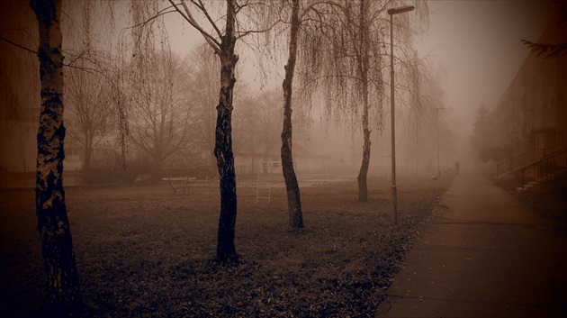 Ulica v hmle