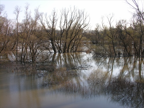 záplavy pri Devíne