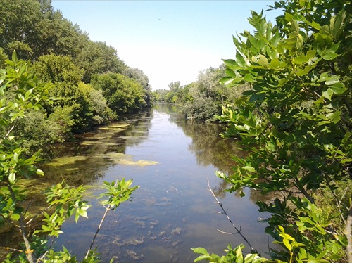 Nitra ticha a hlavne teplucka rieka
