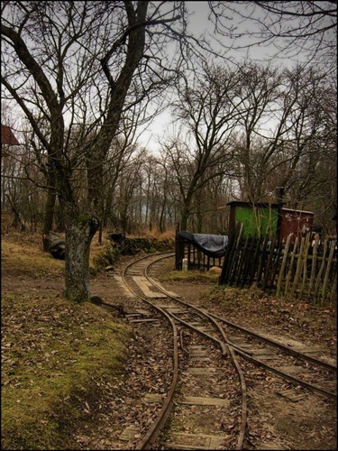 lesná železnica