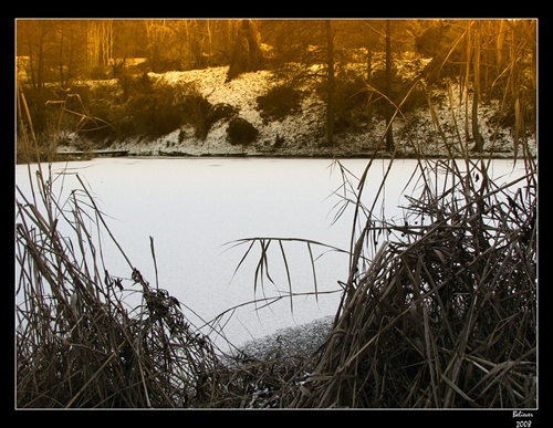 zima na rybníku III.