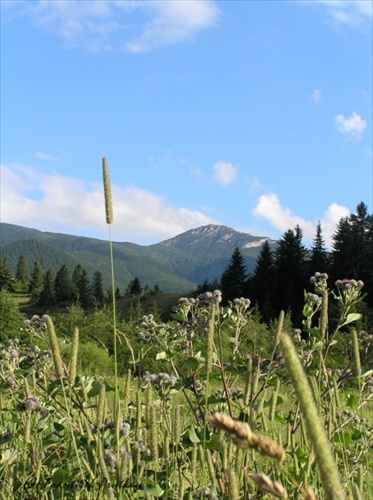 Sivý vrch - Západné Tatry Roháče