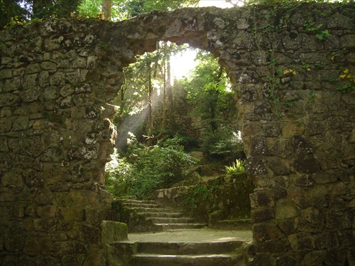 Mystické lesy- Sintra