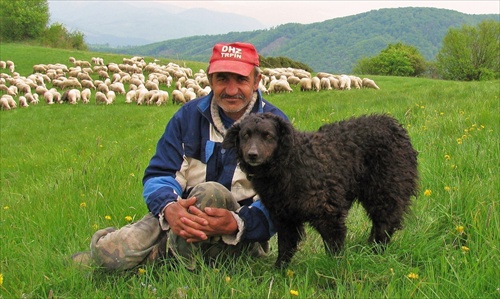 Pastier s verným pomocníkom