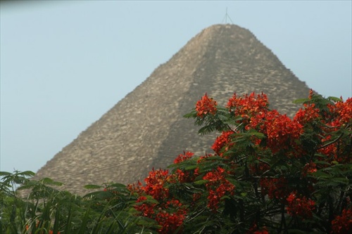 pyramída s kvetmi