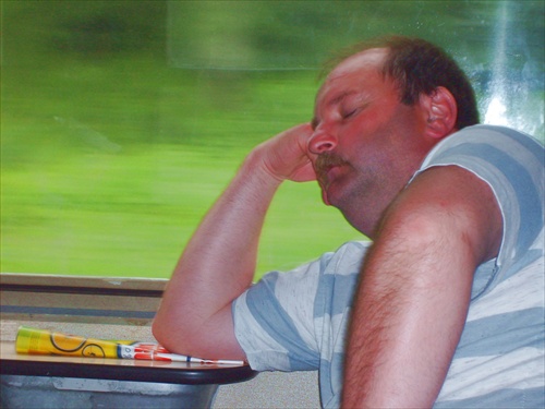 Spiaci vo vlaku