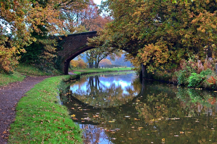 Cheshire Canal Ring Walk