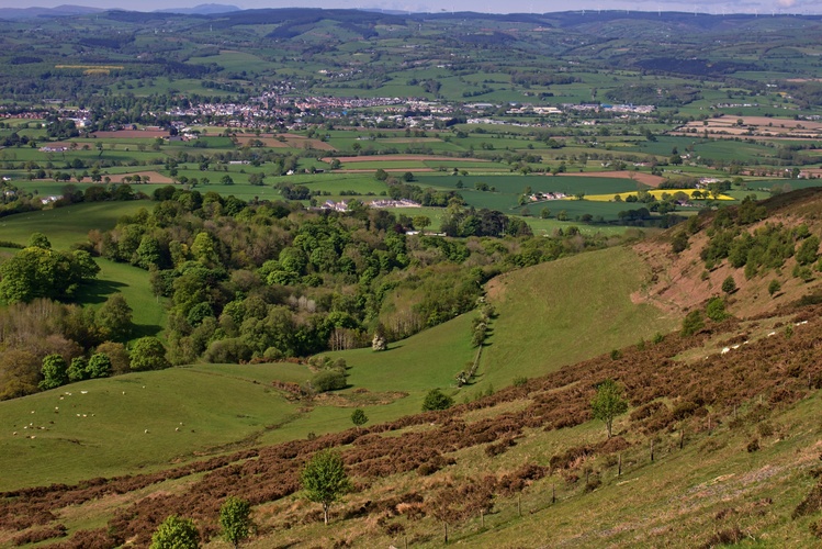 Ruthin & Countryside