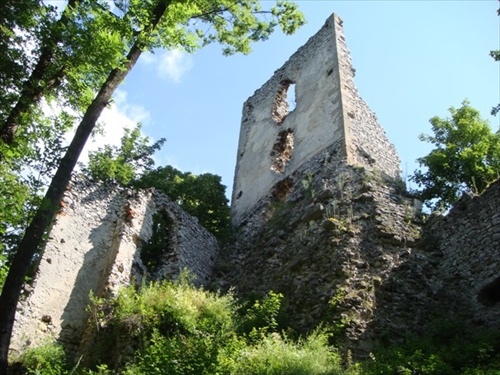 Dobrovodský hrad