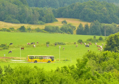 Krajina so žltým autobusom 2