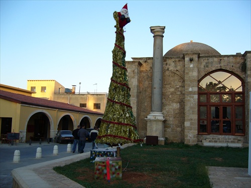 Stromček vo Famaguste