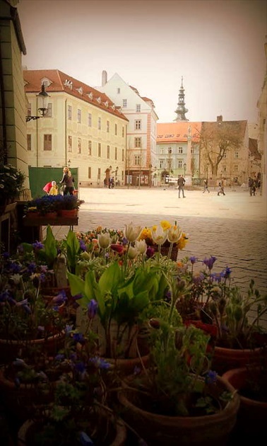 Staré mesto-Bratislava