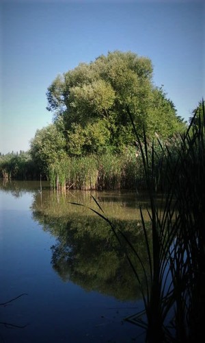 trnavské rybníky