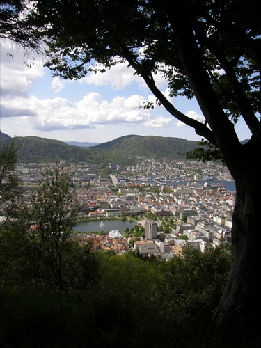 Pohľad na Bergen
