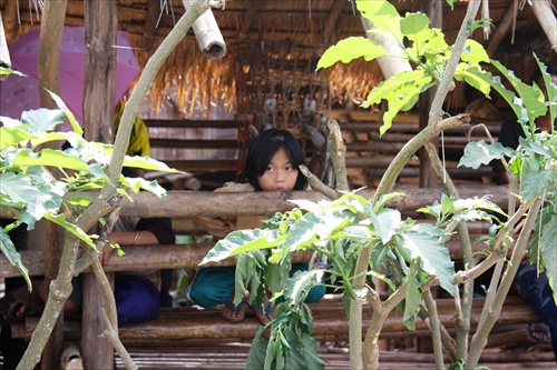 dievcatko z myanmaru