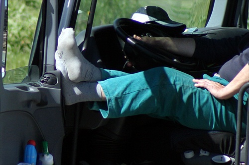 Šoférova siesta