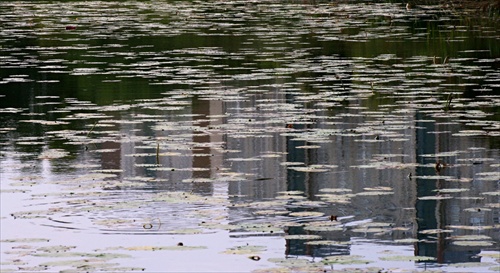 Petržalská lagúna