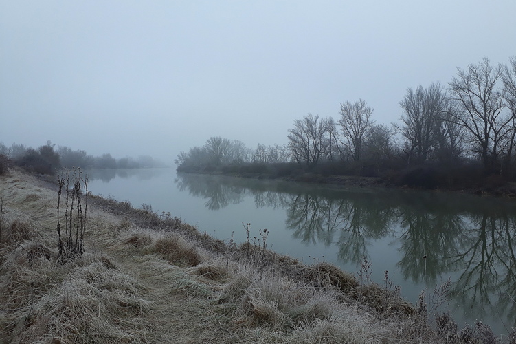 zahmlený deň pri rieke Váh