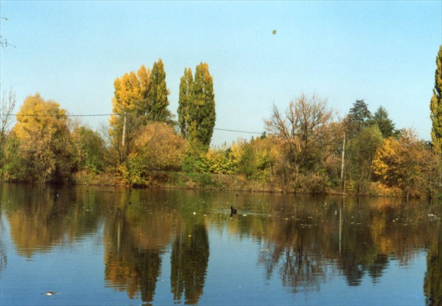 jesen na rybniku
