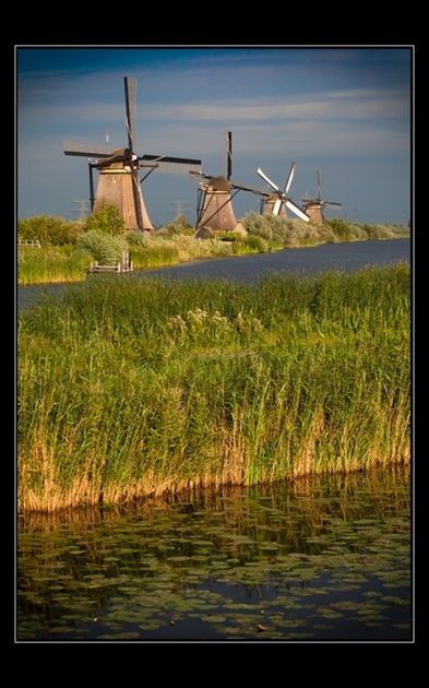 Symbol Holandska