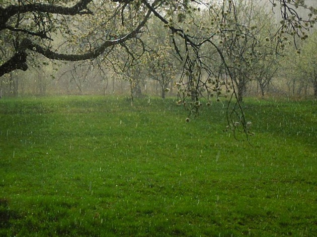 jarný dážď