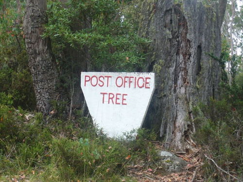 lesná pošta