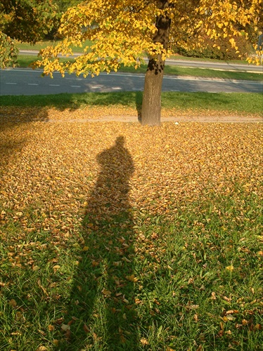 Autoportrét jesenný