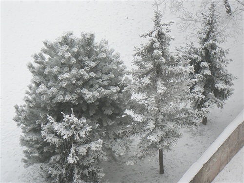 Zima v Petržalke