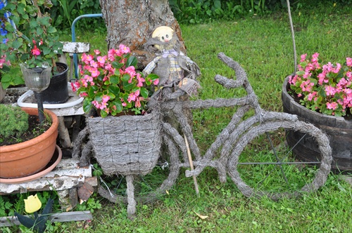 Bicykel v kvete...