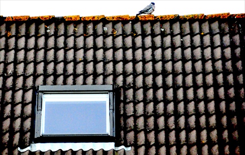 Na streche
