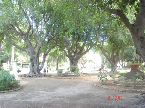 olivový park v Palerme