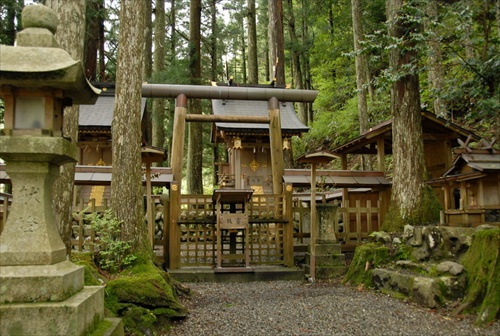 chrám v cedrovom lese