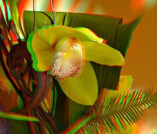 3D orchidea 6