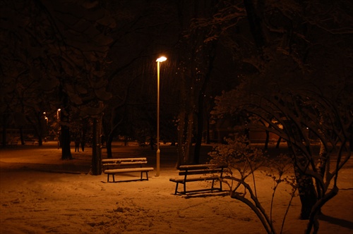 zimny vecer v parku