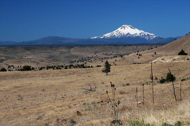 Mount Jefferson ( 3,201m )