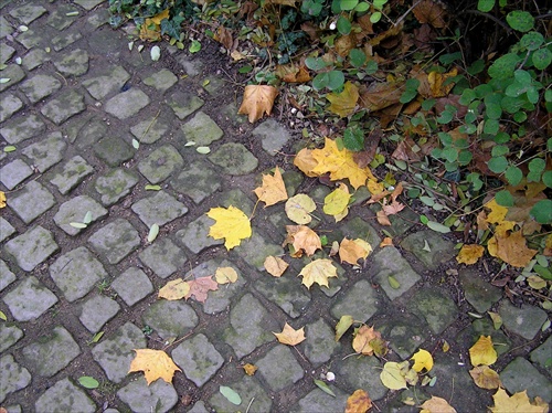 Jesennými chodníčkami...