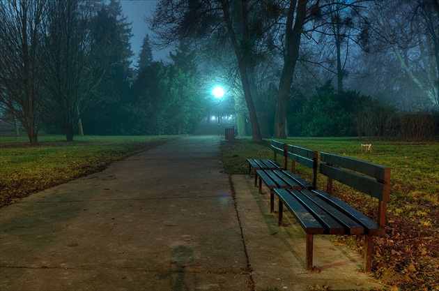 Noc v parku